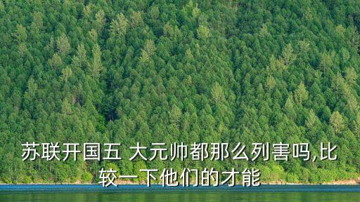 五大元帥,四川五大元帥之一薛廣云將軍的家世