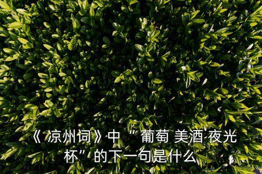 《 涼州詞》中“ 葡萄 美酒 夜光杯”的下一句是什么