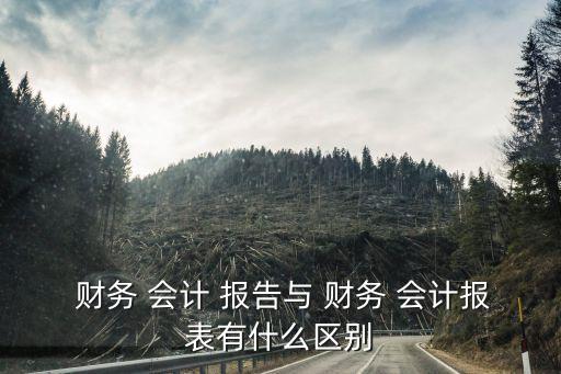 財務(wù)會計報告,財務(wù)會計報告四大注意事項