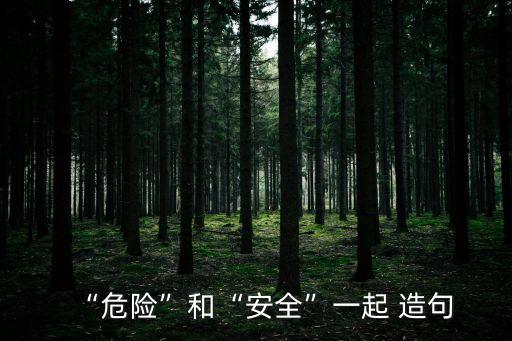“危險”和“安全”一起 造句
