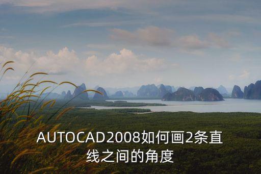AUTOCAD2008如何畫2條直線之間的角度