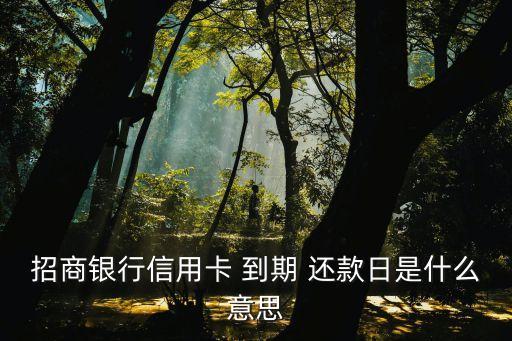 到期還款日,還款寬限期內還款四大不同