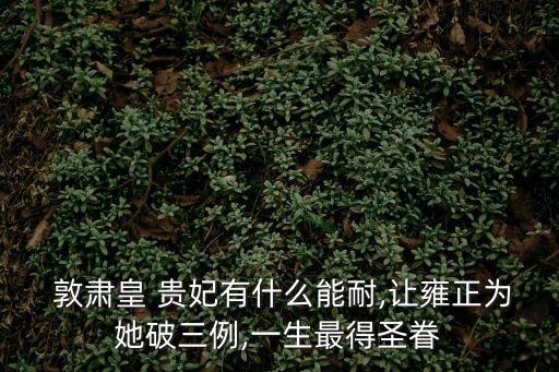 敦肅皇貴妃,清代首封貴妃沒有官職?原因何在?