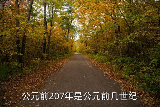 公元前207年是公元前幾世紀