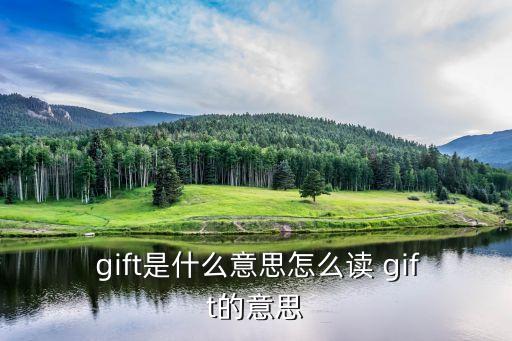  gift是什么意思怎么讀 gift的意思