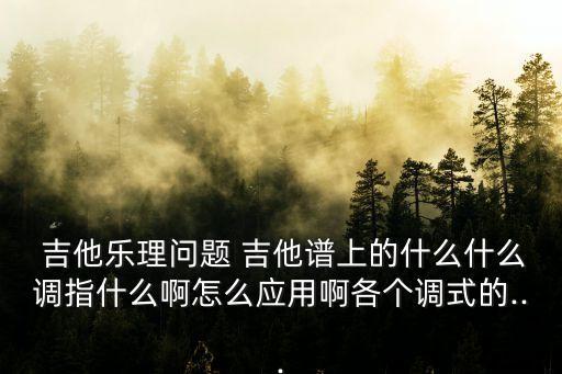  吉他樂理問題 吉他譜上的什么什么調(diào)指什么啊怎么應(yīng)用啊各個調(diào)式的...
