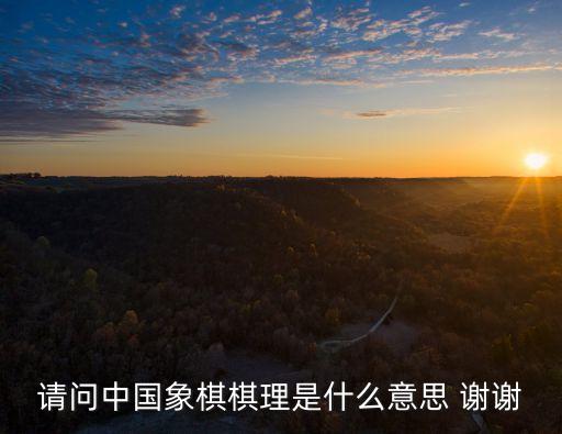 請問中國象棋棋理是什么意思 謝謝