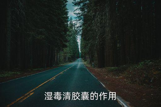 濕毒清膠囊的作用