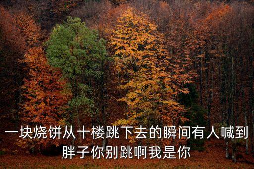 一塊燒餅從十樓跳下去的瞬間有人喊到胖子你別跳啊我是你