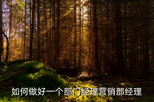 營銷部經理，營銷部經理崗位職責