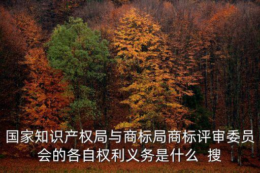 國家知識產權局與商標局商標評審委員會的各自權利義務是什么  搜