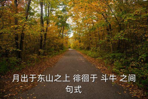 徘徊于斗牛之間,日出東山和斗牛-2/分別作狀語和定語