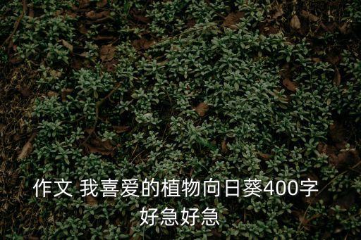 作文 我喜愛(ài)的植物向日葵400字 好急好急