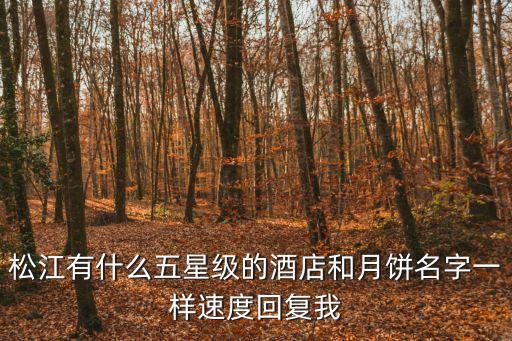 松江有什么五星級的酒店和月餅名字一樣速度回復我