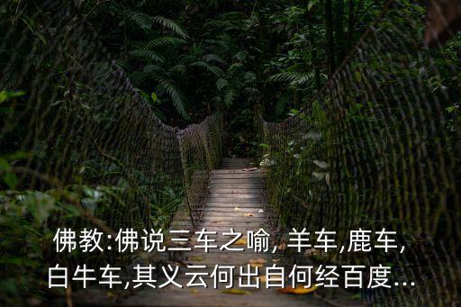 羊車,羊車王興的來歷