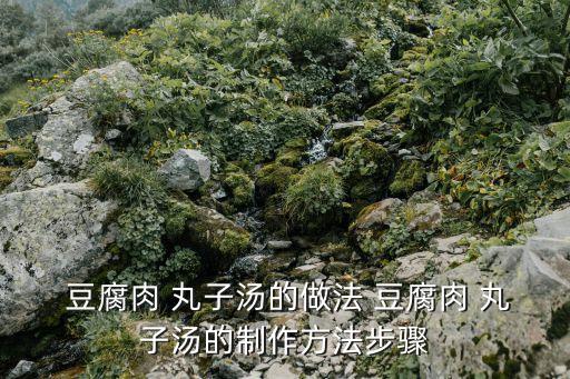 豆腐丸子湯,【幸運商業(yè)中心食品添加料理包裝食材