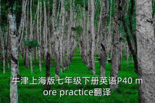 牛津上海版七年級下冊英語P40 more practice翻譯