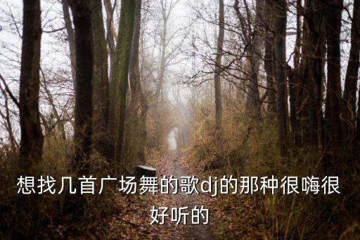dj廣場舞，快節(jié)奏的DJ舞曲適合廣場舞的 有的請打包給我傳過來謝謝