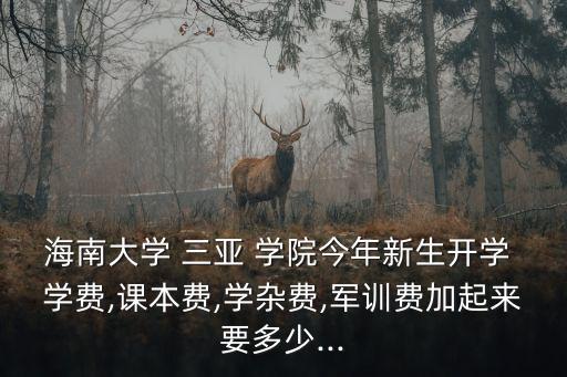 三亞學(xué)院學(xué)費(fèi),三亞學(xué)院不適合在校學(xué)習(xí)氛圍欠缺