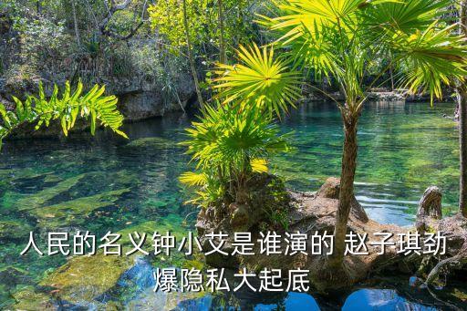鐘小艾背景，人民的名義鐘小艾真正身份是什么 最后結局怎么樣