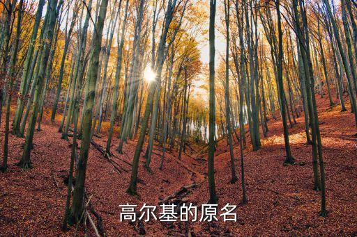 高爾基的原名