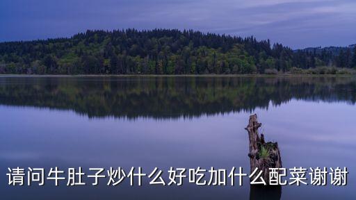 請問牛肚子炒什么好吃加什么配菜謝謝
