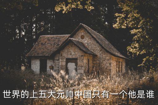 世界的上五大元帥中國只有一個(gè)他是誰