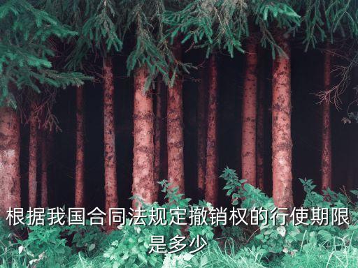 根據(jù)我國合同法規(guī)定撤銷權的行使期限是多少