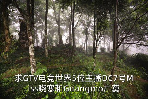 電競主播，電競主播是什么