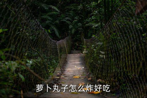 蘿卜丸子怎么炸好吃