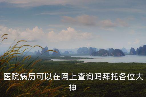 醫(yī)院病歷可以在網(wǎng)上查詢嗎拜托各位大神