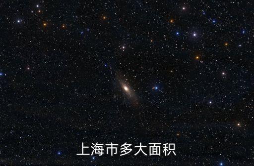 上海市多大面積
