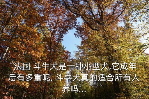  法國 斗牛犬是一種小型犬,它成年后有多重呢, 斗牛犬真的適合所有人養(yǎng)嗎...
