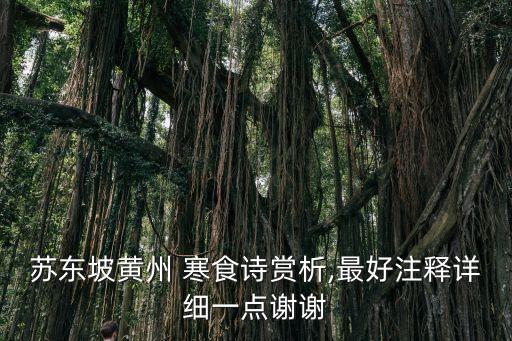寒食帖原文及解釋,蘇軾是中國歷史上不可多得的文藝天才
