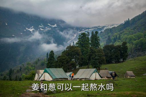 蔥姜，蔥姜是什么是香蔥和姜嗎