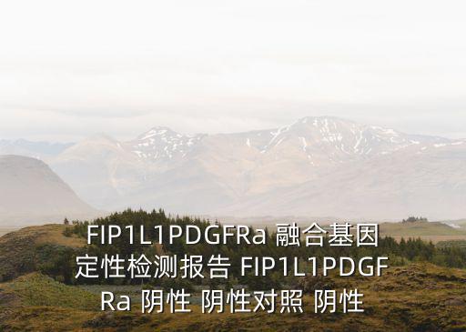 上海市肺科醫院基因檢測報告單，麻煩幫我看看DNA檢測的結果