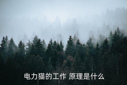  電力貓的工作 原理是什么