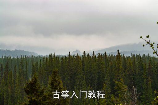 古箏入門教程，古箏入門教程