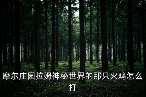 摩爾莊園拉姆神秘世界的那只火雞怎么打
