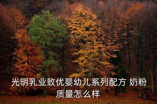  光明乳業(yè)致優(yōu)嬰幼兒系列配方 奶粉質(zhì)量怎么樣