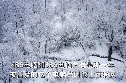 486電腦和586電腦大概是那一年被普及的這個電腦當(dāng)時能上互聯(lián)網(wǎng)