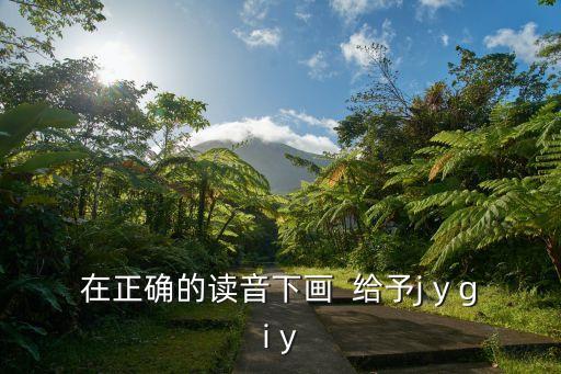 給予讀音，給予有gei yu這個讀音嗎