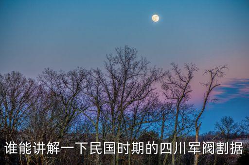 誰能講解一下民國時期的四川軍閥割據