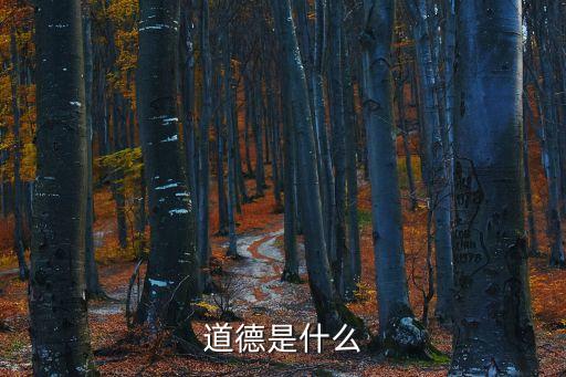 道德的意思，道德到底指什么