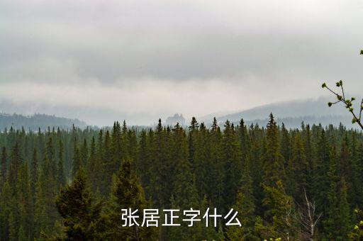張居正，張居正的資料