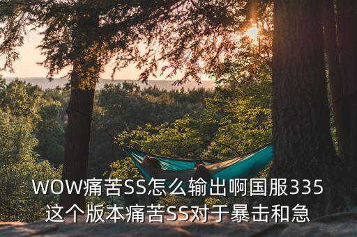 痛苦ss輸出手法，WOW痛苦SS怎么輸出啊國服335這個版本痛苦SS對于暴擊和急