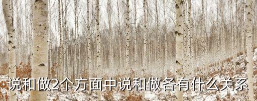 說和做，說和做的俗語