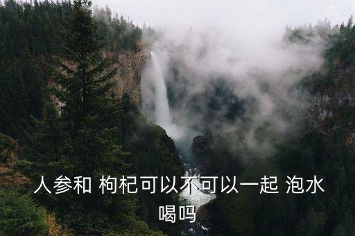  人參和 枸杞可以不可以一起 泡水喝嗎