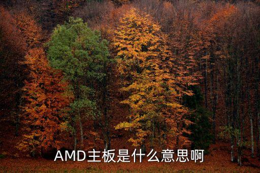 AMD主板是什么意思啊