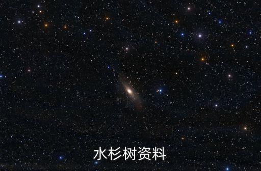水杉樹，水杉樹資料